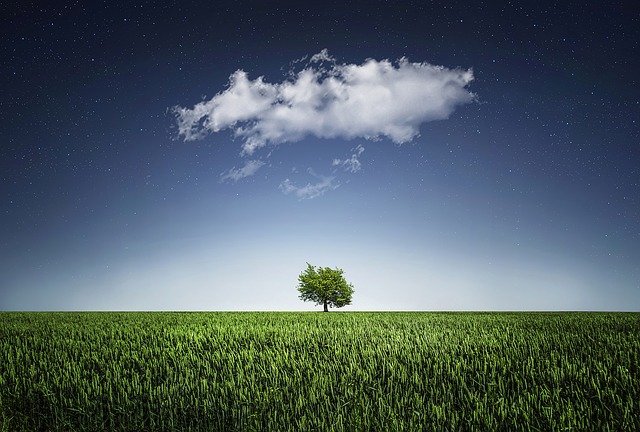 Selling Land Online - EasyLandSell