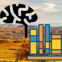 What You Should Know When Buying Rural Land
